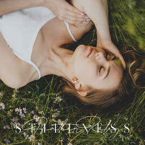 在哪个网上看毛片
