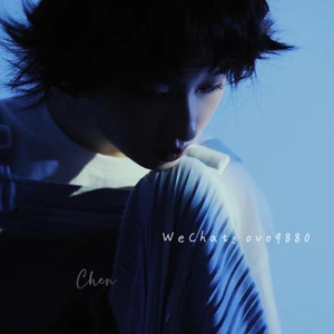 在哪个网上看毛片
