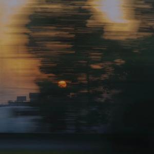 在哪个网上看毛片
