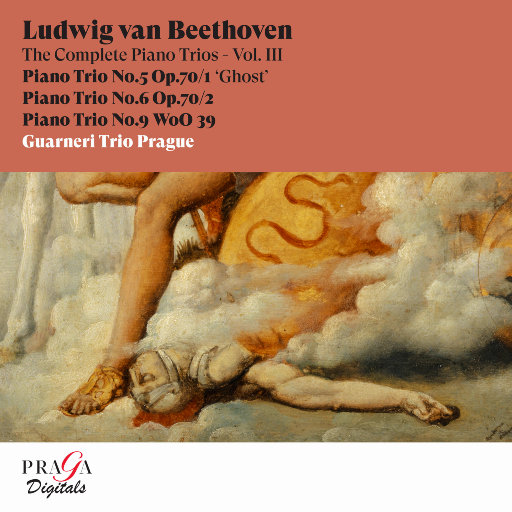 在哪个网上看毛片
